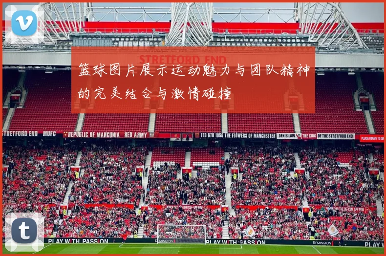 篮球图片展示运动魅力与团队精神的完美结合与激情碰撞