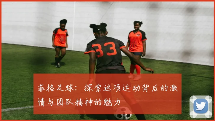 菲格足球：探索这项运动背后的激情与团队精神的魅力