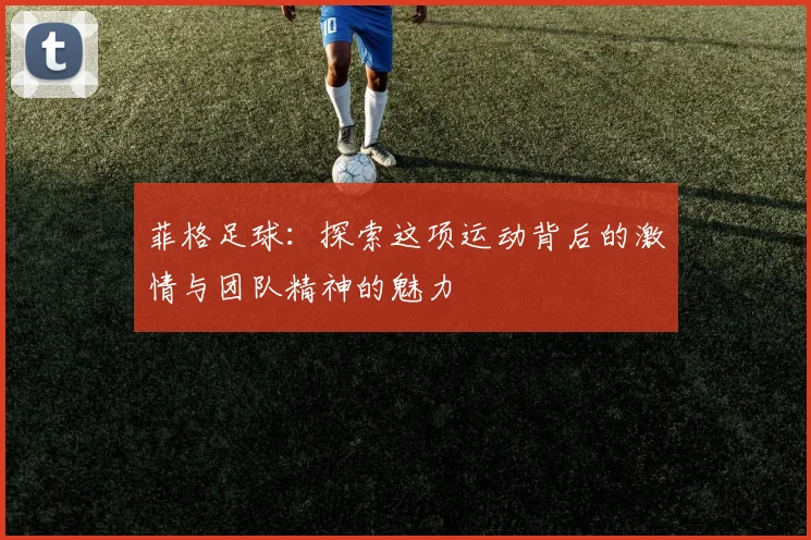 菲格足球：探索这项运动背后的激情与团队精神的魅力