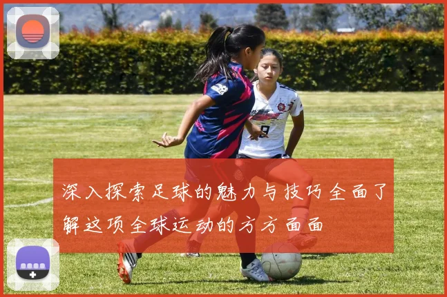 深入探索足球的魅力与技巧全面了解这项全球运动的方方面面