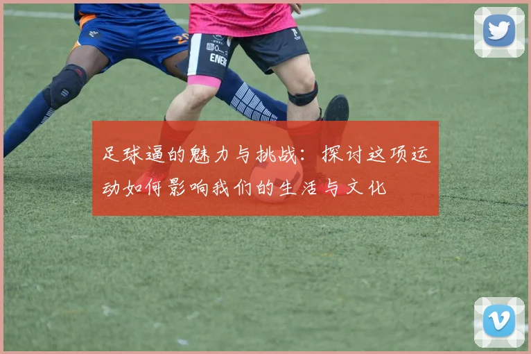 足球逼的魅力与挑战：探讨这项运动如何影响我们的生活与文化