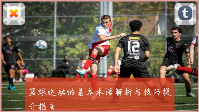 篮球运动的基本术语解析与技巧提升指南