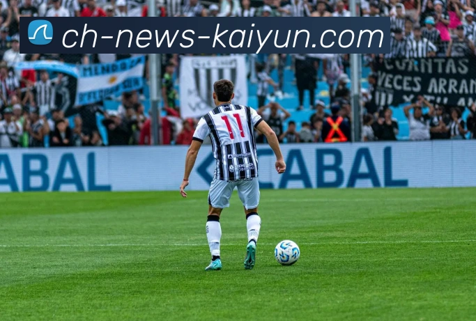 开云平台生态图